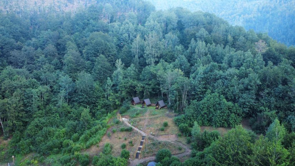 Holiday Bungalows Pajkovir Kolašin Екстериор снимка