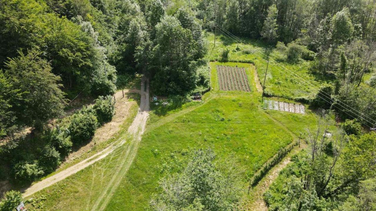Holiday Bungalows Pajkovir Kolašin Екстериор снимка