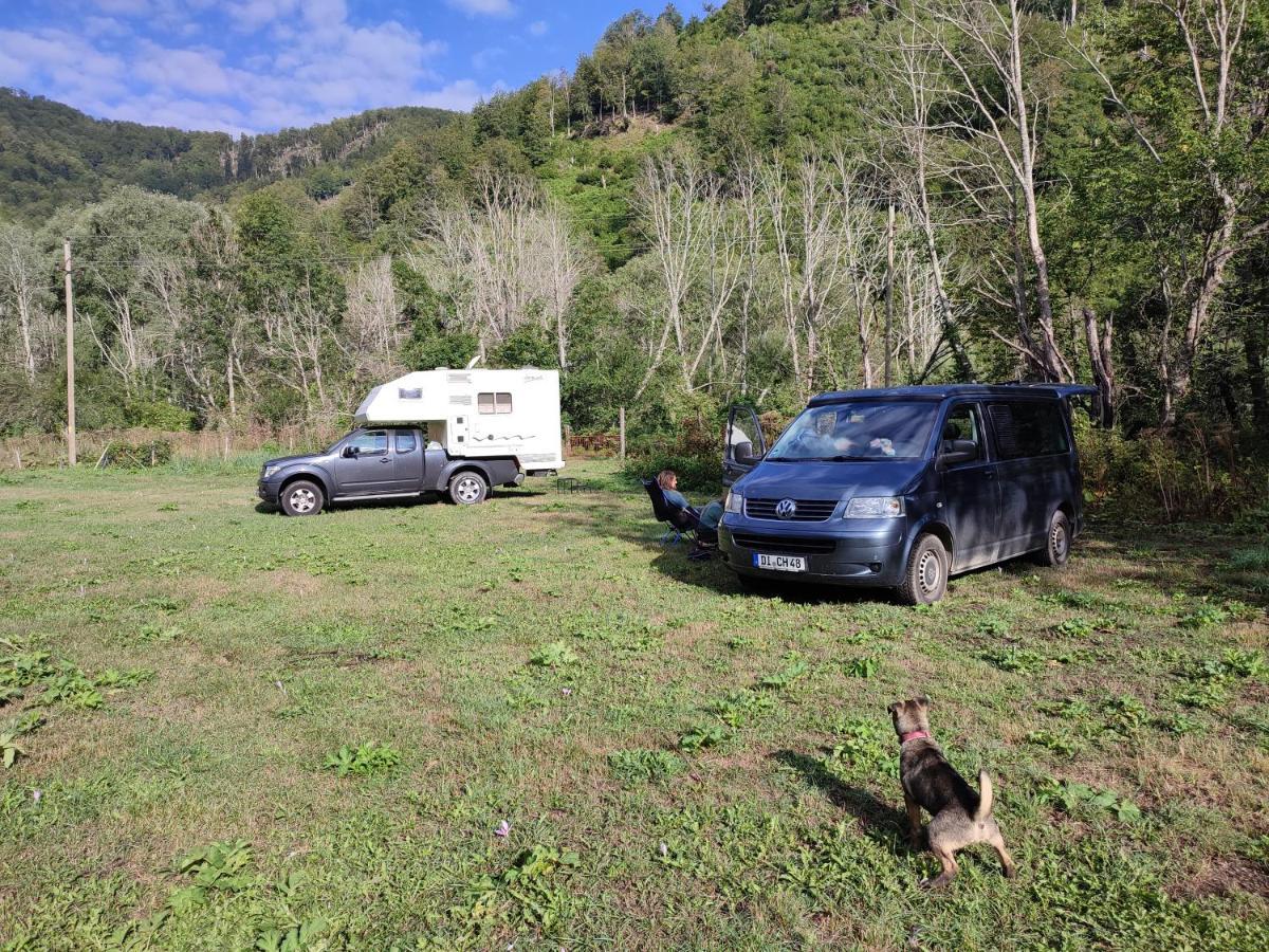 Holiday Bungalows Pajkovir Kolašin Екстериор снимка